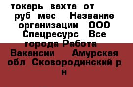 токарь. вахта. от 50 000 руб./мес. › Название организации ­ ООО Спецресурс - Все города Работа » Вакансии   . Амурская обл.,Сковородинский р-н